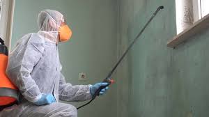 Professional Mold Removal in Air Force Academy, CO