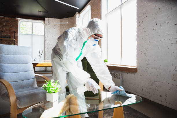 Best Industrial Mold Remediation in Air Force Academy, CO